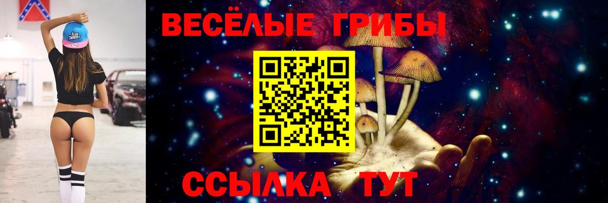 Кушва  Галлюциногенные грибы Cubensis  Вход с VPN 